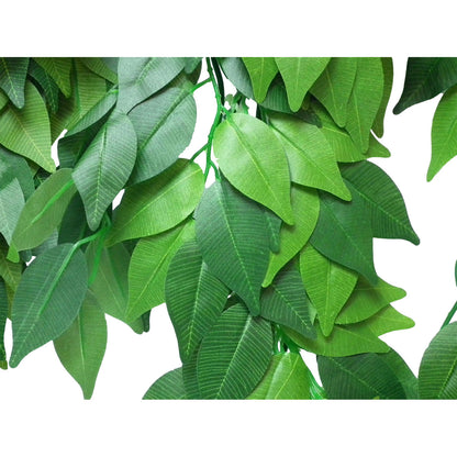 Vivarium Silk Plant Ficus Small Bulk Buy x24