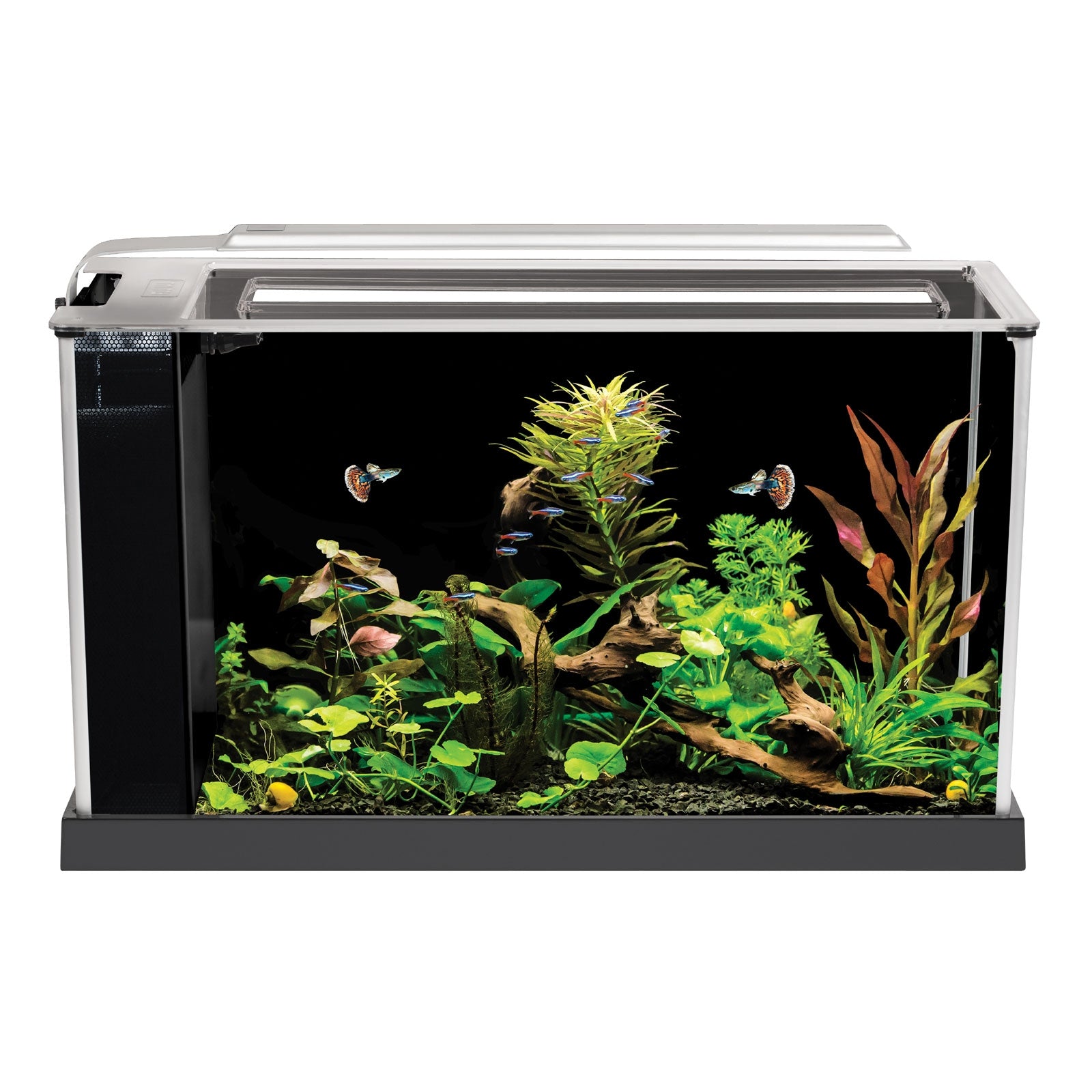 Fluval Spec 19L Desktop Glass Aquarium Black Free UK Delivery