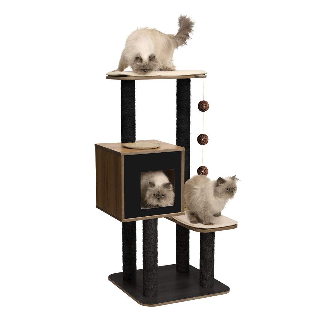 Black cat scratcher best sale