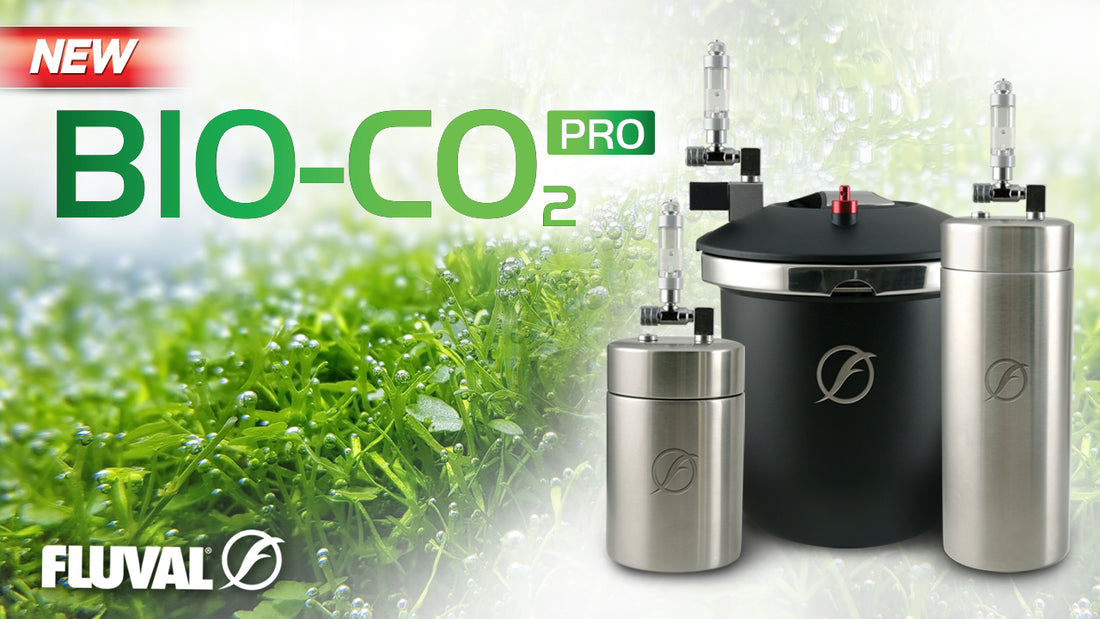 Coming Soon! BOOST YOUR PLANTS TO THE MAX | Fluval Bio-CO2 Pro