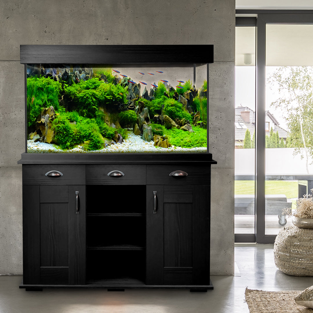 Dive Into the Aquatic Dream with Aquapet.co.uk's Premium Aquariums