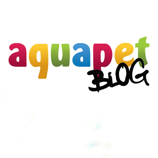 🌟 Discover the Ultimate Pet & Wildlife Community – Join Aquapet.blog! 🌟