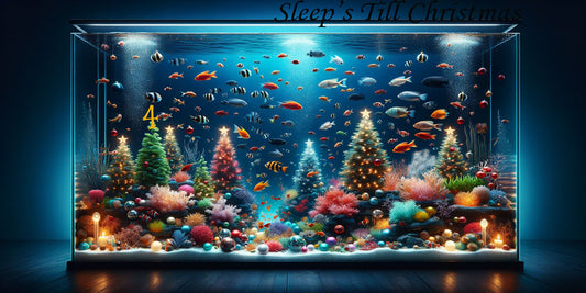 4 Sleeps Till  Christmas Aquariums