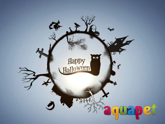 Happy Halloween All !