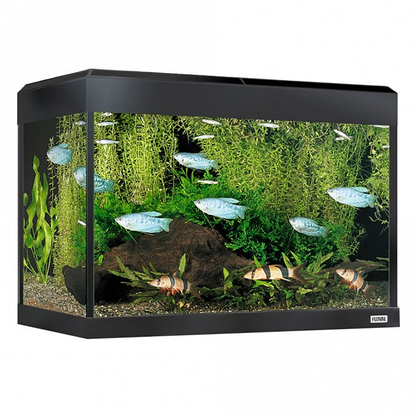 Fluval Roma 90 Bluetooth LED Aquarium Set 90L Oak and Cabinet