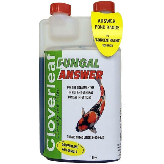 Cloverleaf Fungal Answer 1 Litre
