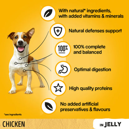 Pedigree with Chicken in Jelly 