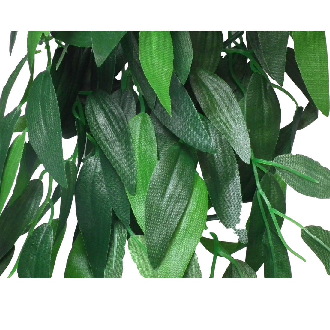 Vivarium Silk Plant Ruscus Large Bulk Buy x12