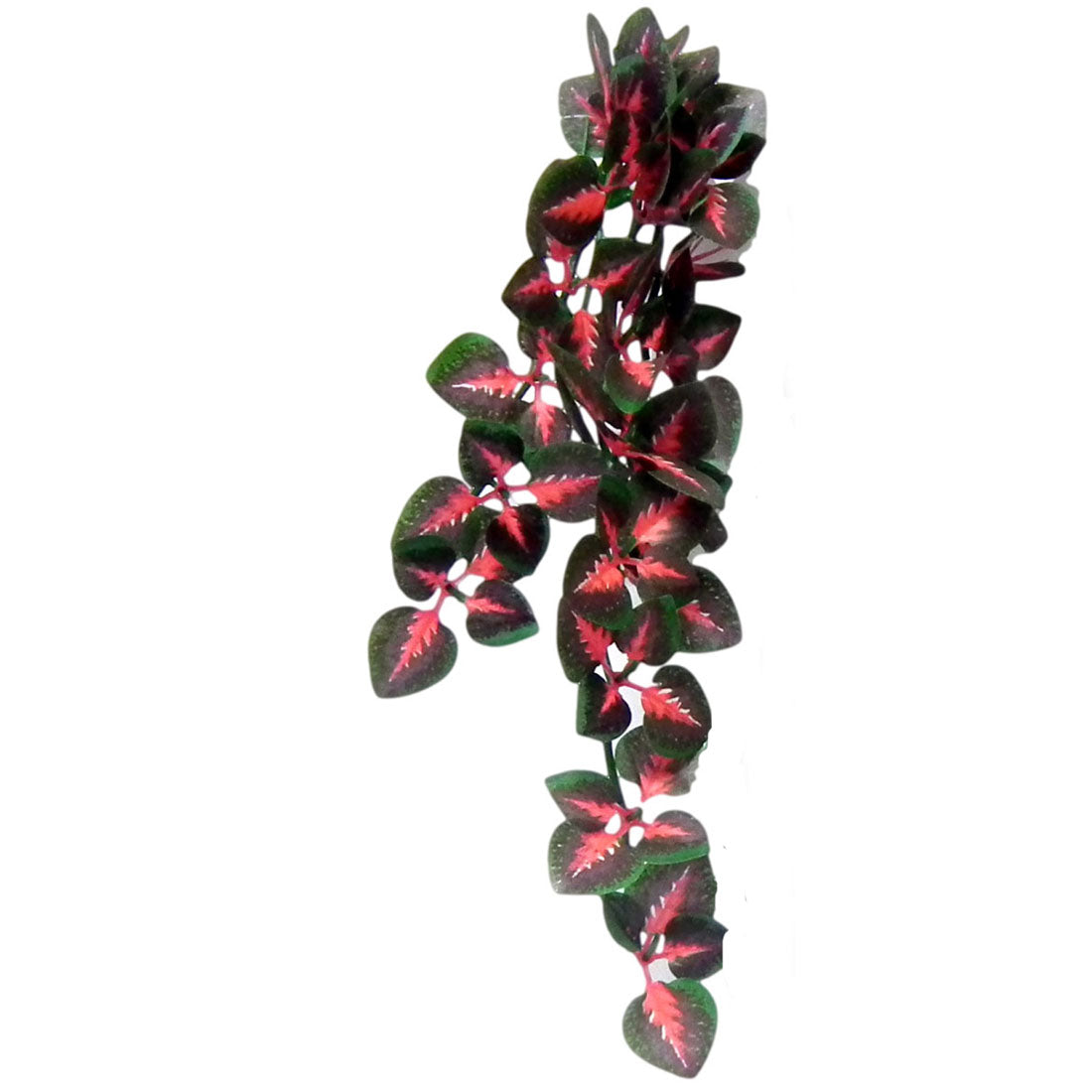 Vivarium Silk Plant Red Cissus Small Bulk Buy x24