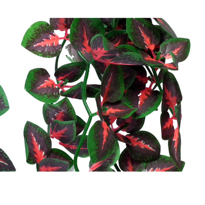 Vivarium Silk Plant Red Cissus Small Bulk Buy x24