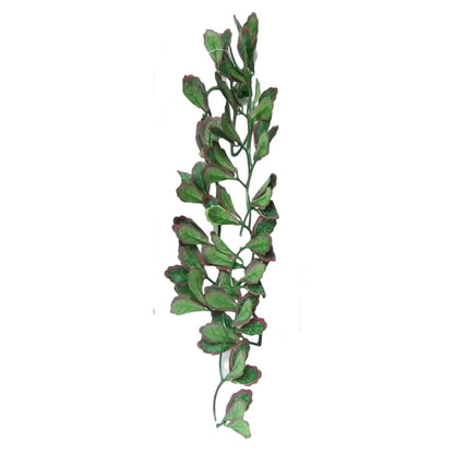 Vivarium Silk Plant Red Croton Medium Bulk Buy x12