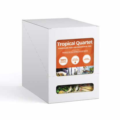 Tropical Quartet