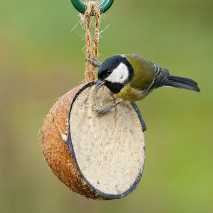 Suet To Go Half Coconut Feeders with Mealworms