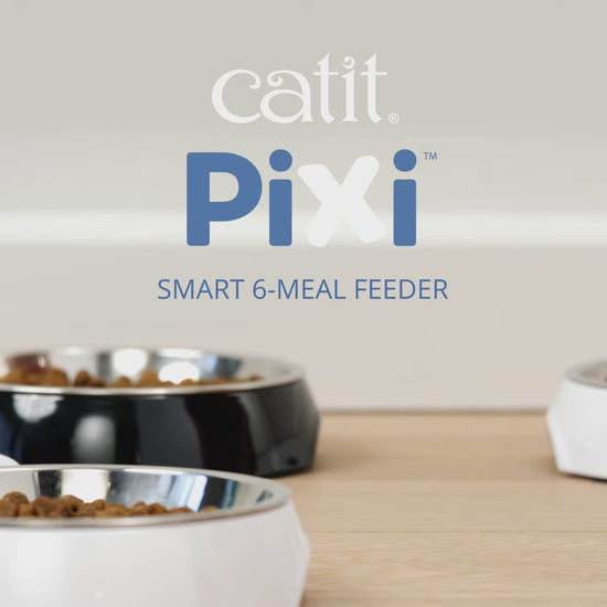 Catit PIXI Smart 6-Meal Feeder