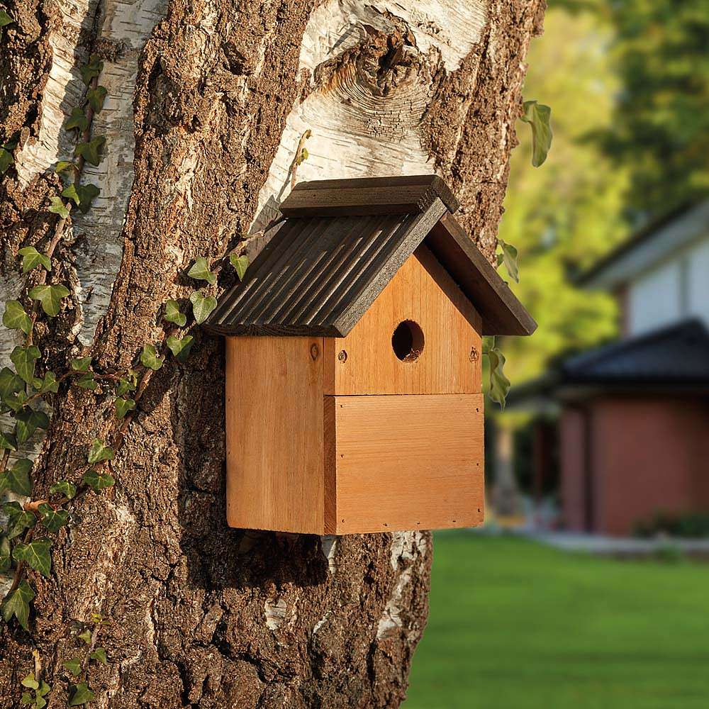 Supa  - Multi-Purpose Nesting Box