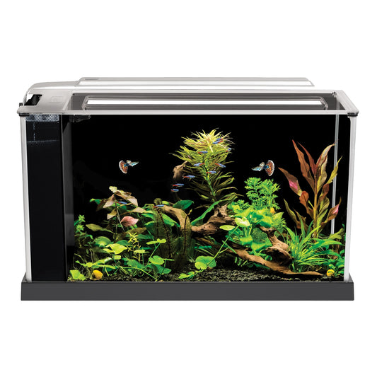 Fluval Spec 19 L - Black Desktop Glass Aquarium LED High Output Light