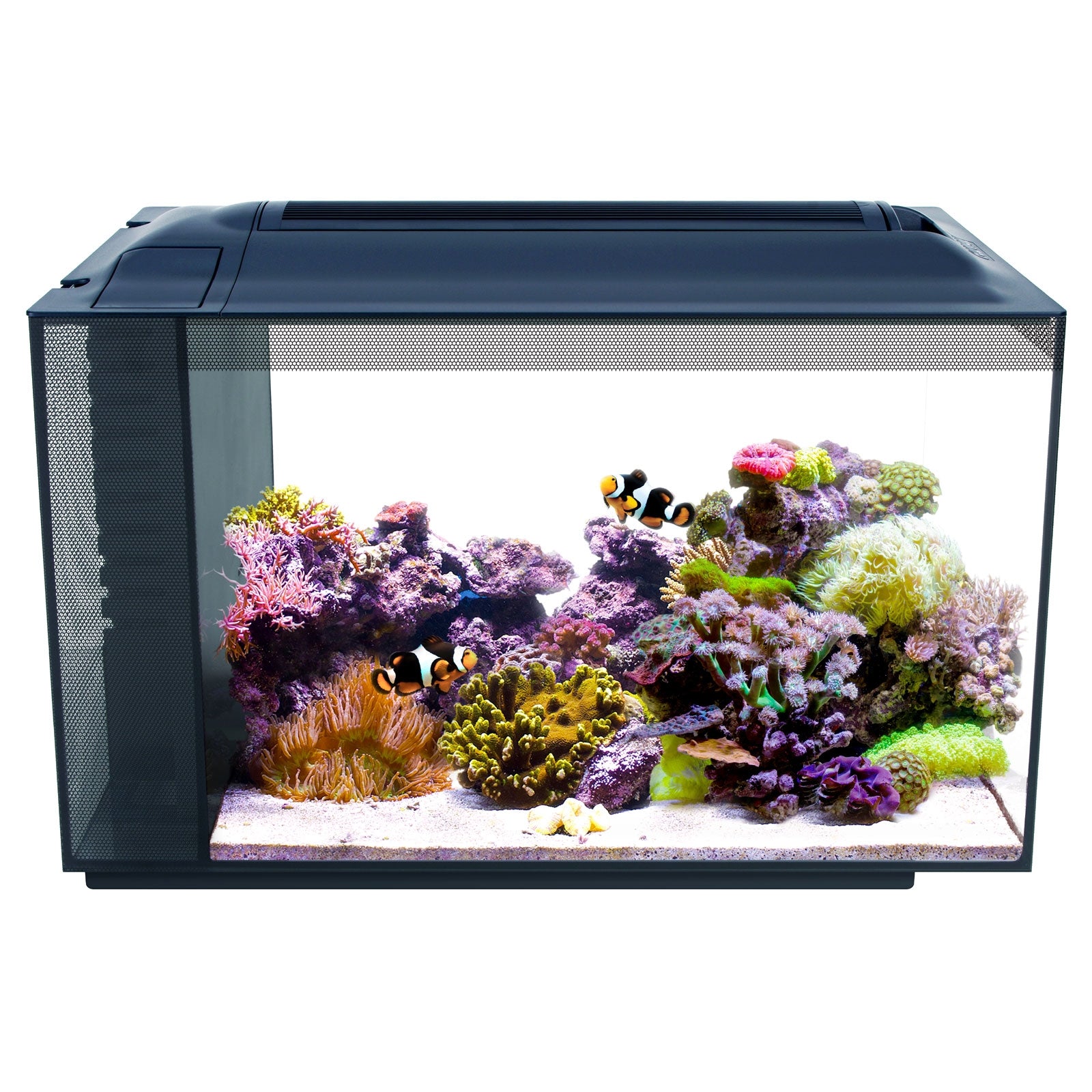 Fluval Evo Marine Aquarium Kit with Reef LED Lights - 52 ltr