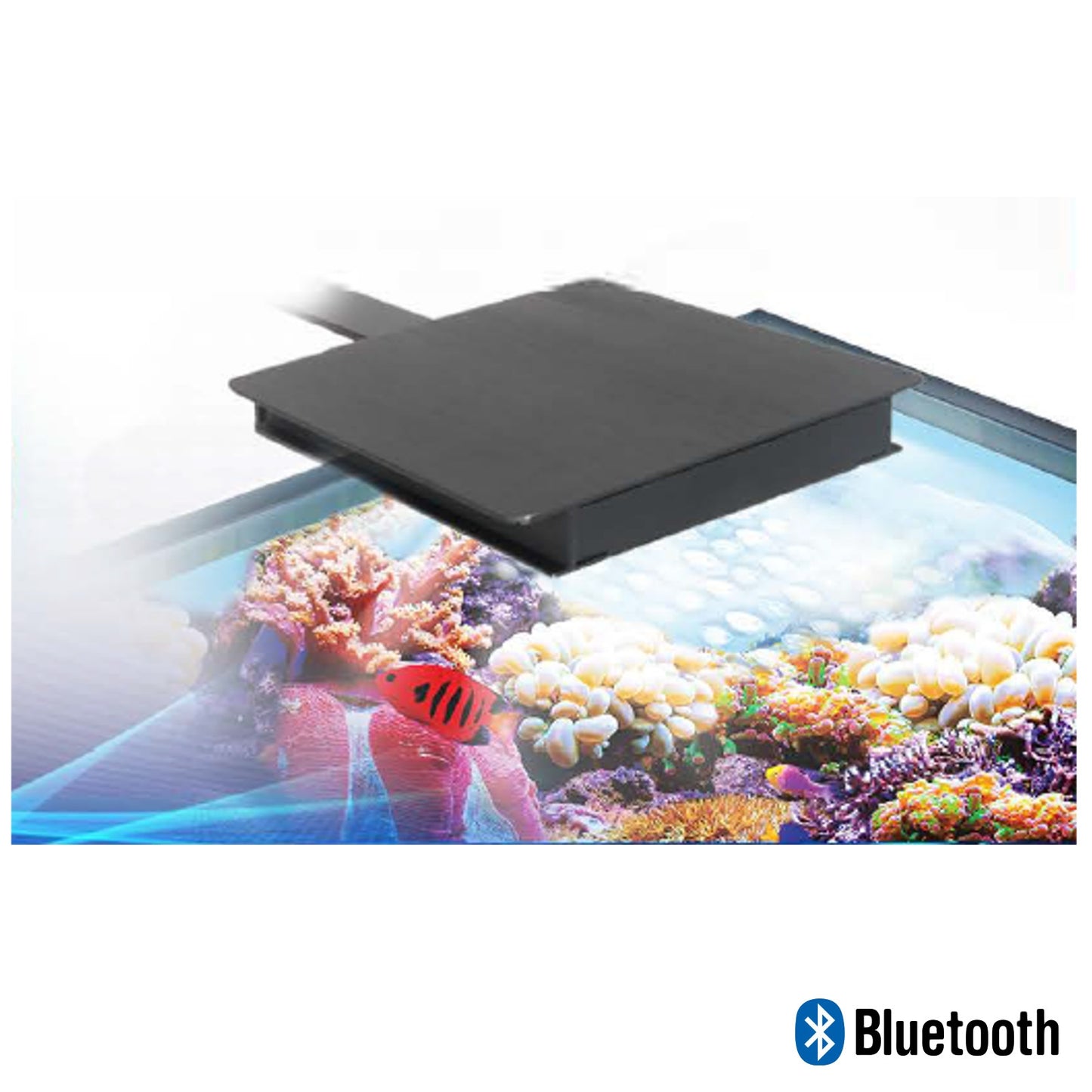Fluval Sea Marine Nano Bluetooth LED