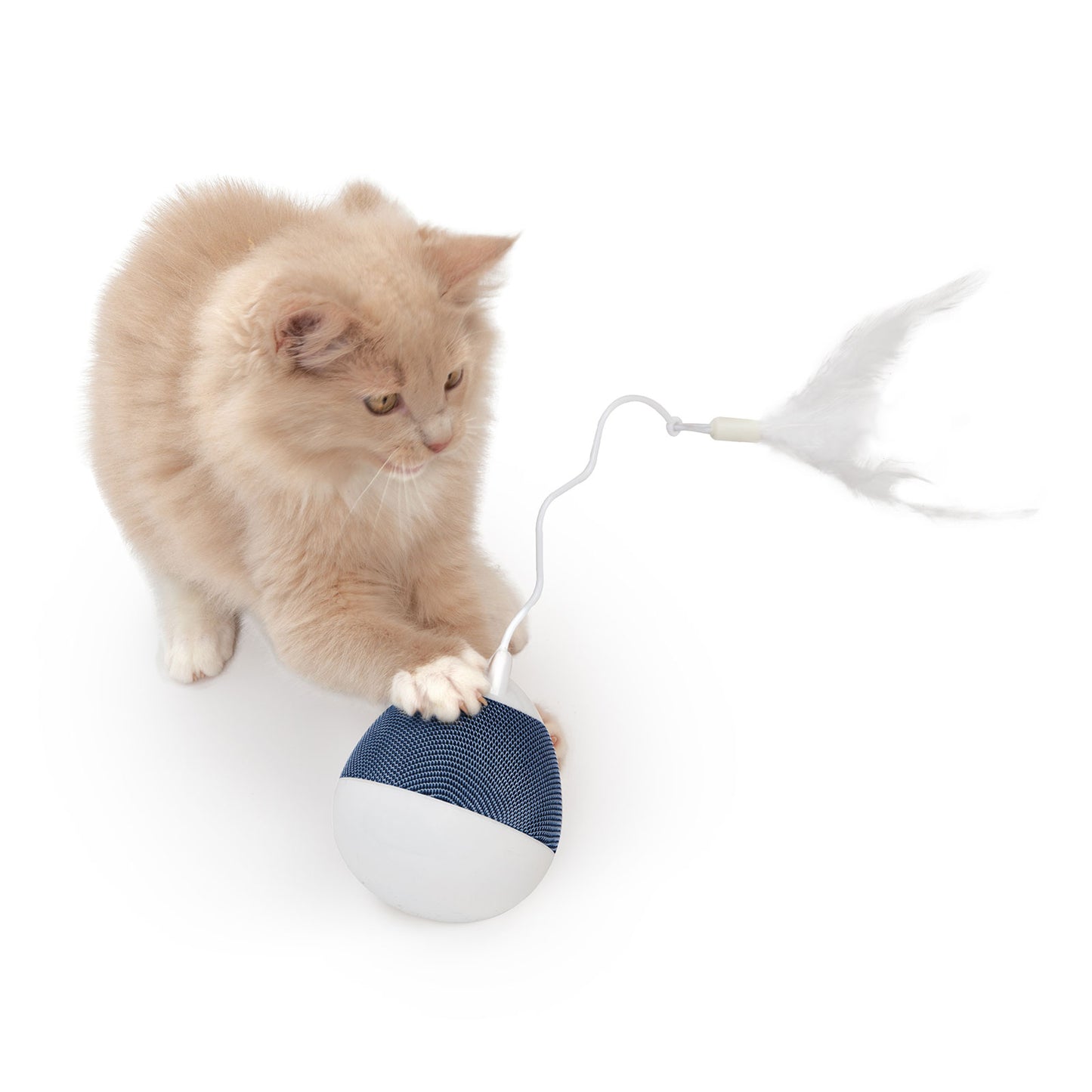 Catit PIXI Spinner - White & Blue Interactive Cat Toy
