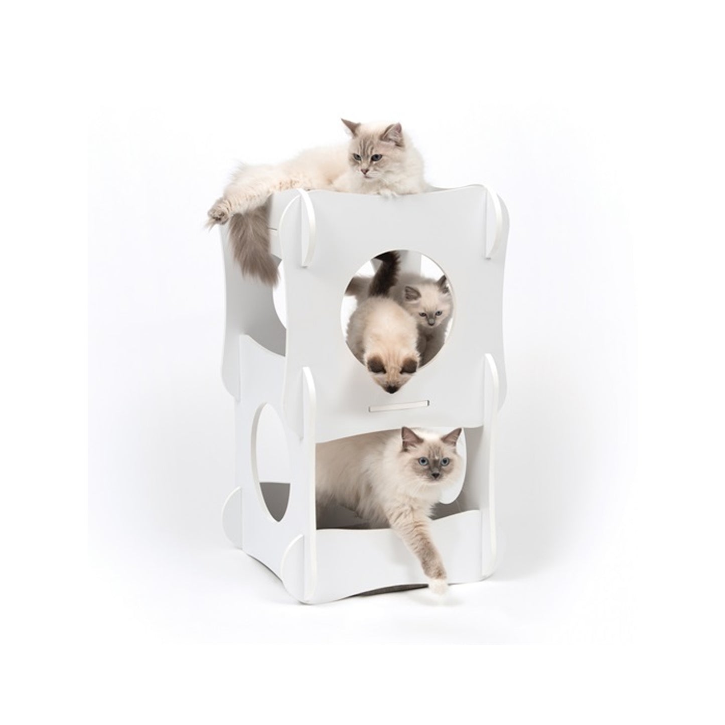 Vesper Condo - 3 Levels Cat Tower