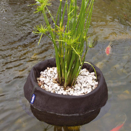 Laguna Floating Planting Basket 25cm (10")