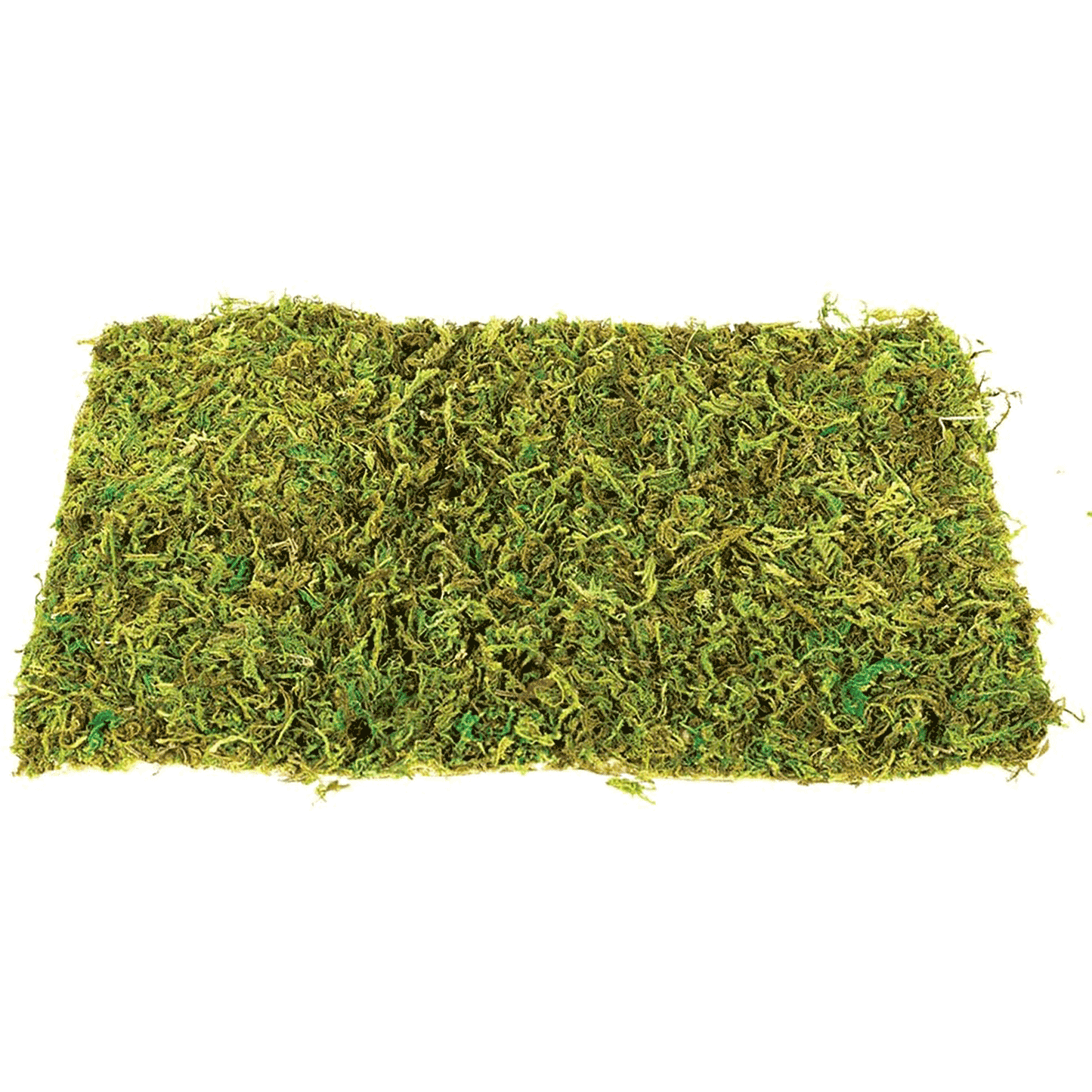 Komodo Natural Moss Mat (2pcs) - Large