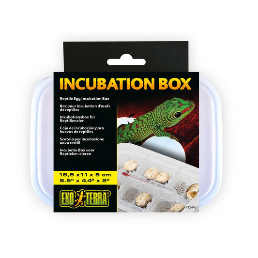 Exo Terra Incubation Box