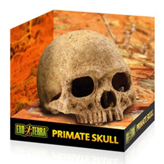 Exo Terra Primate Skull Fossil Hide Out