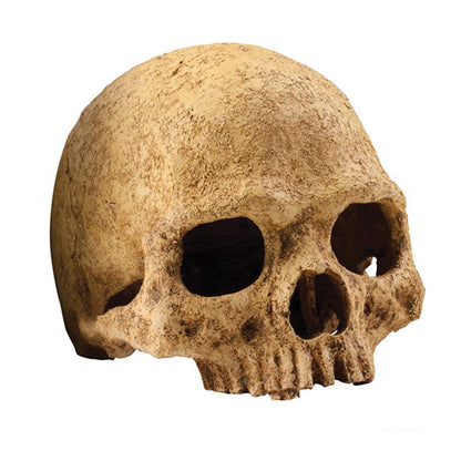 Exo Terra Primate Skull Fossil Hide Out