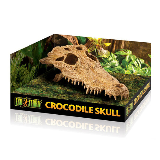 Exo Terra Crocodile Skull Fossil Hide Out