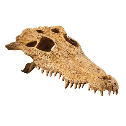Exo Terra Crocodile Skull Fossil Hide Out