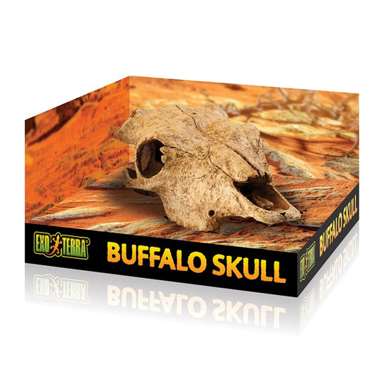 Exo Terra Buffalo Skull Fossil Hide Out