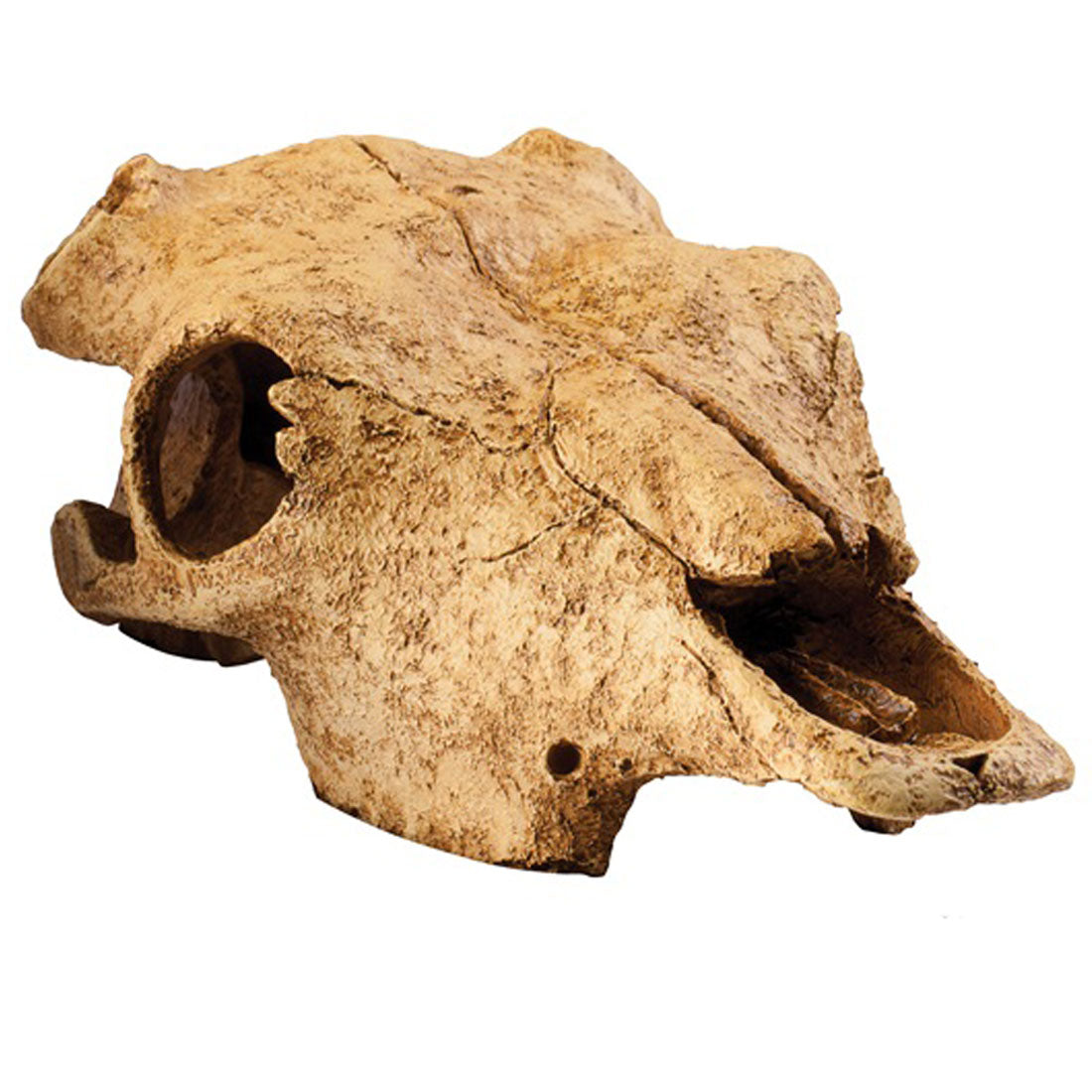Exo Terra Buffalo Skull Fossil Hide Out