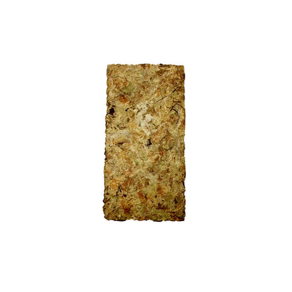 Natural Forest Moss Concentrated Pack - Expands to 4.5 litres