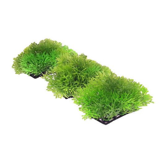 Aquarium Low Lying Plants Light Green (4cm x 11cm)