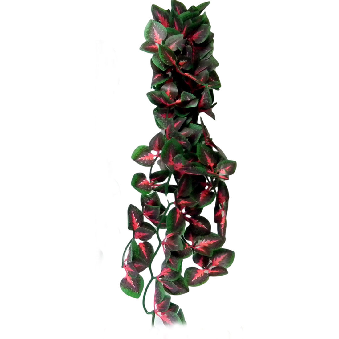 Vivarium Silk Plant Red Cissus