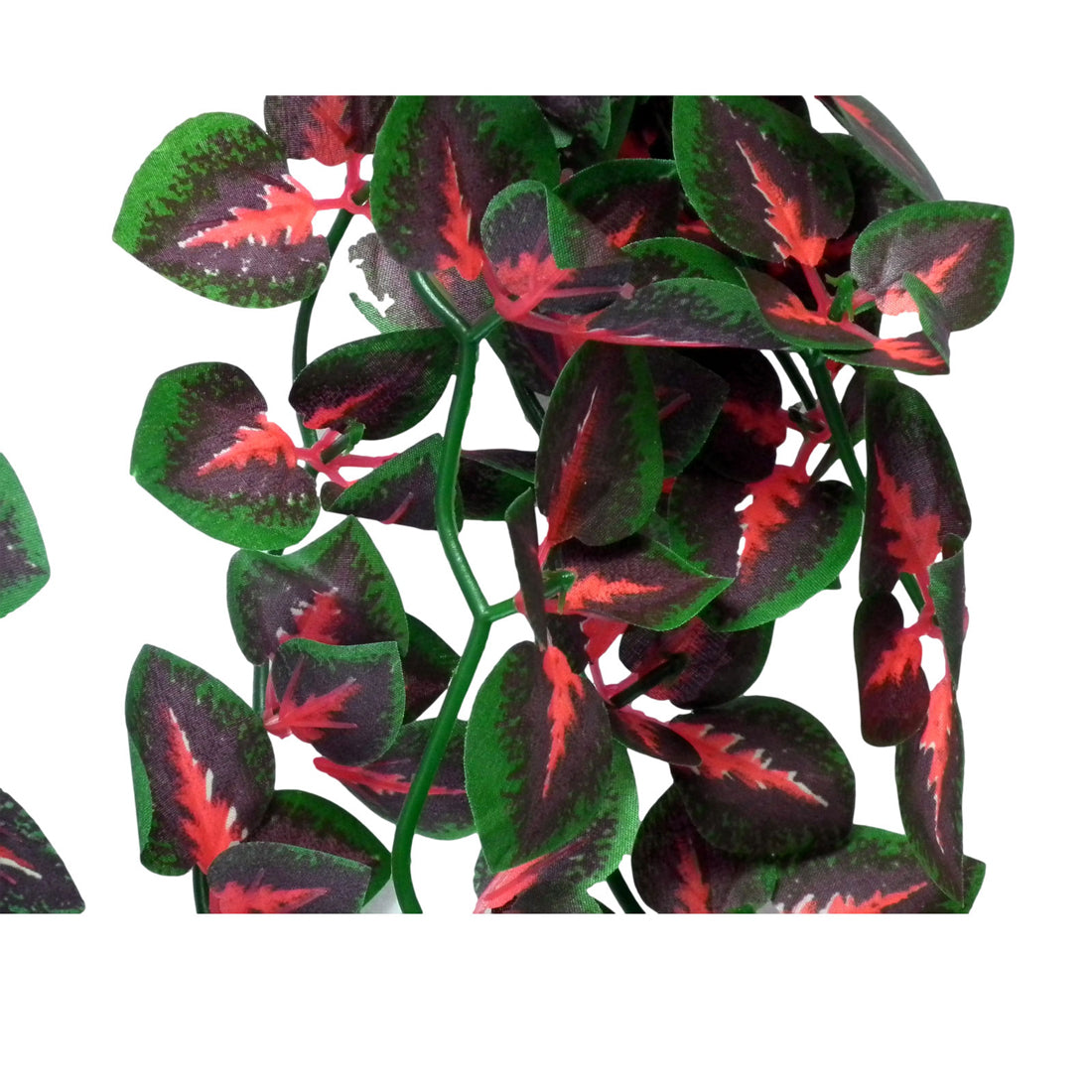 Vivarium Silk Plant Red Cissus
