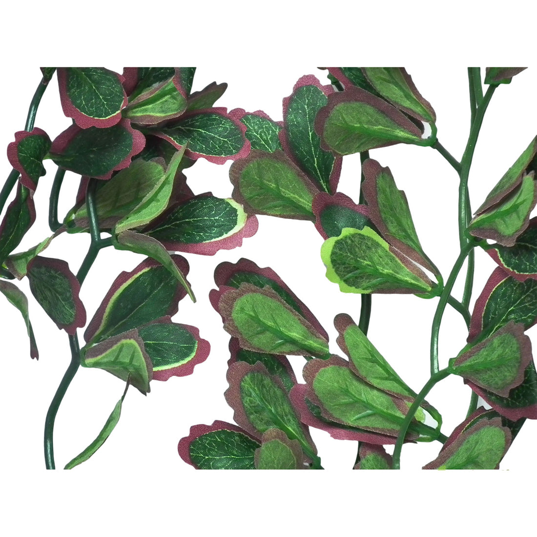 Vivarium Silk Plant Red Croton