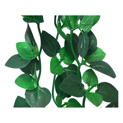 Vivarium Silk Plant Amapallo