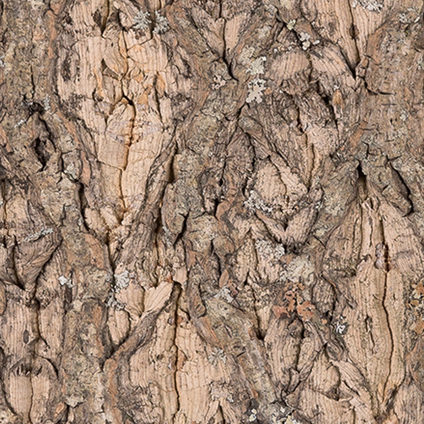 3D Natural Look Cork Background - Multiple Sizes