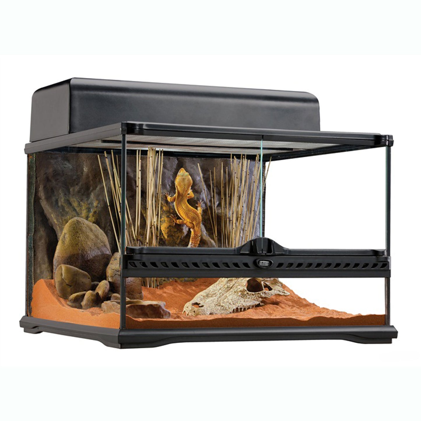 Exo Terra Natural Terrarium - Advanced Reptile Habitat -  Low 45 x 45 x 30cm