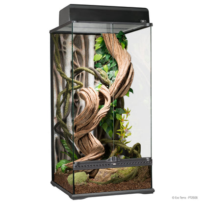 Exo Terra Advanced Paludarium & Rainforest Terrarium - Small X-Tall - 45 x 45 x 90 cm