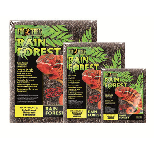 Rain Forest Substrate